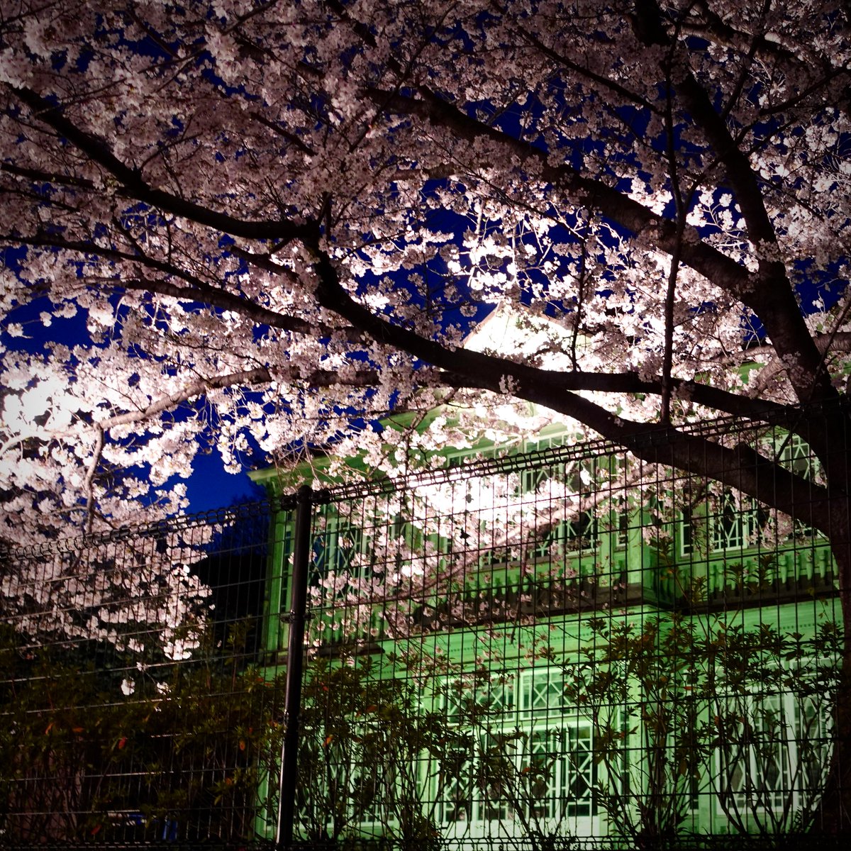 横尾忠則現代美術館 tweet media