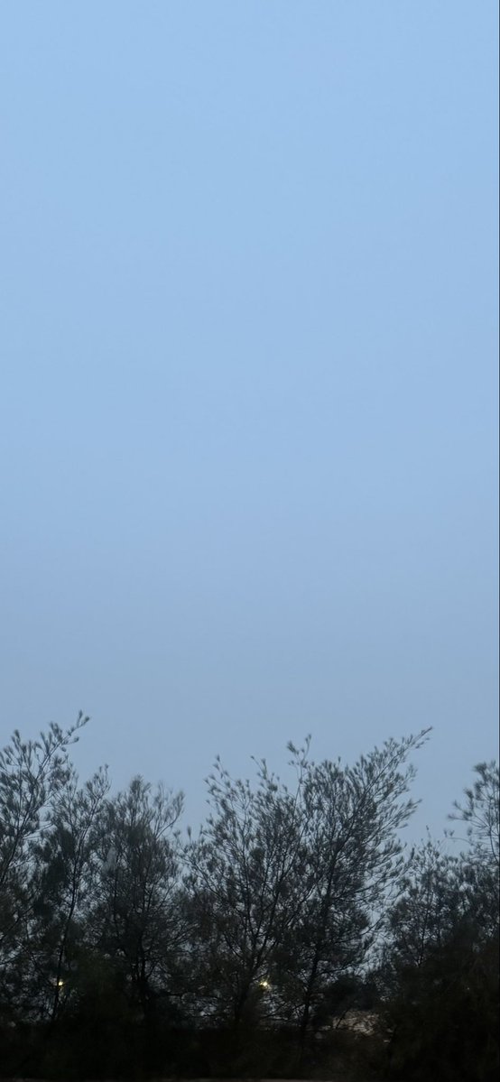 ‏​​​​​‏ ◔̯.◔ tweet media