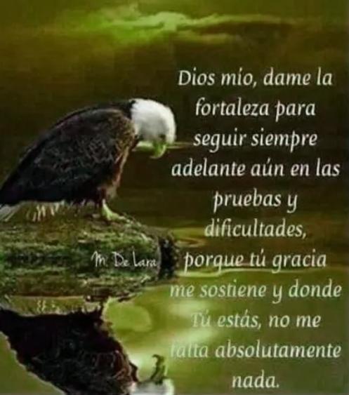 Magaly Armas tweet media