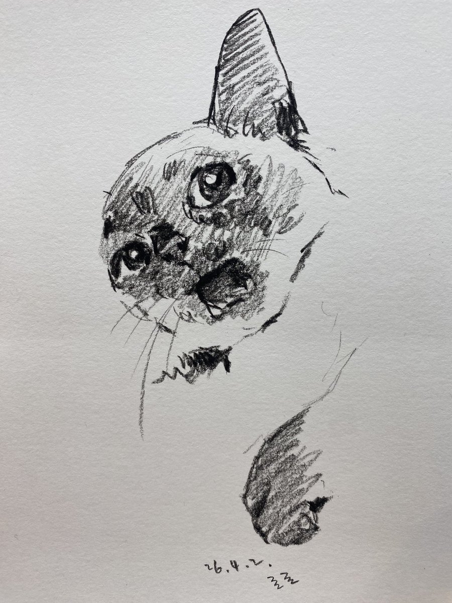 앵알이 tweet media