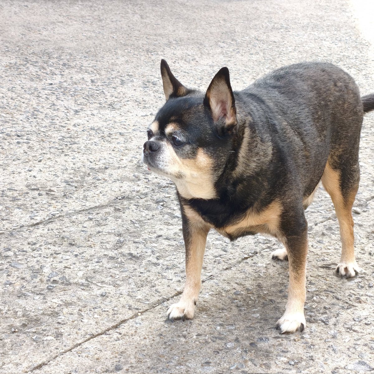 𝓝𝓸𝓷𝓰𝓫𝓾 tweet media