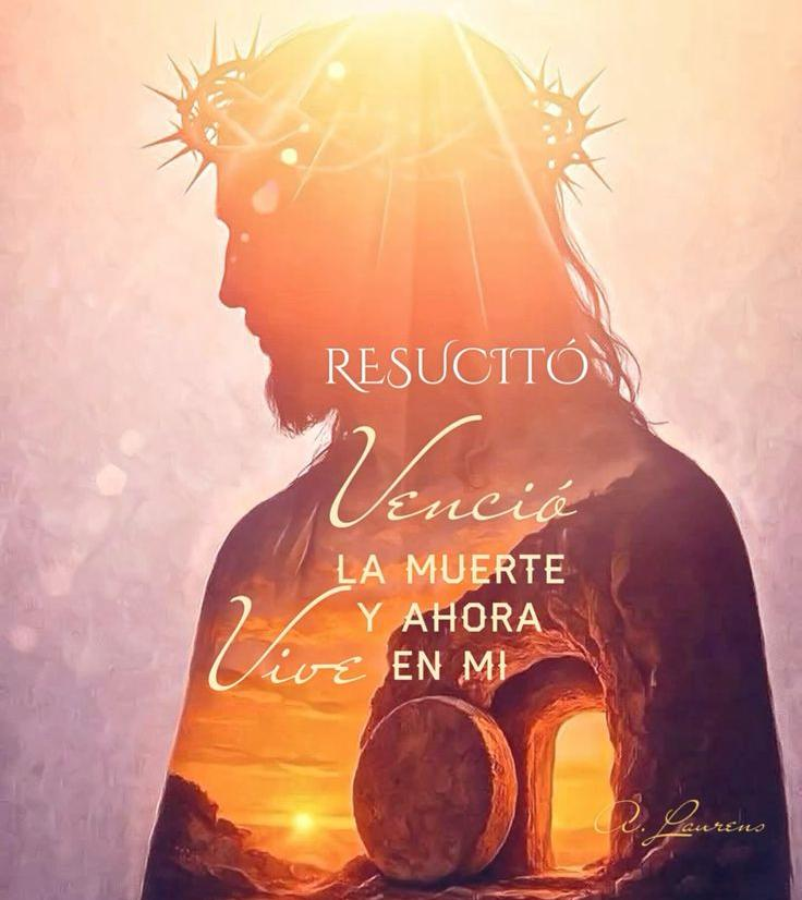 Magaly Armas tweet media