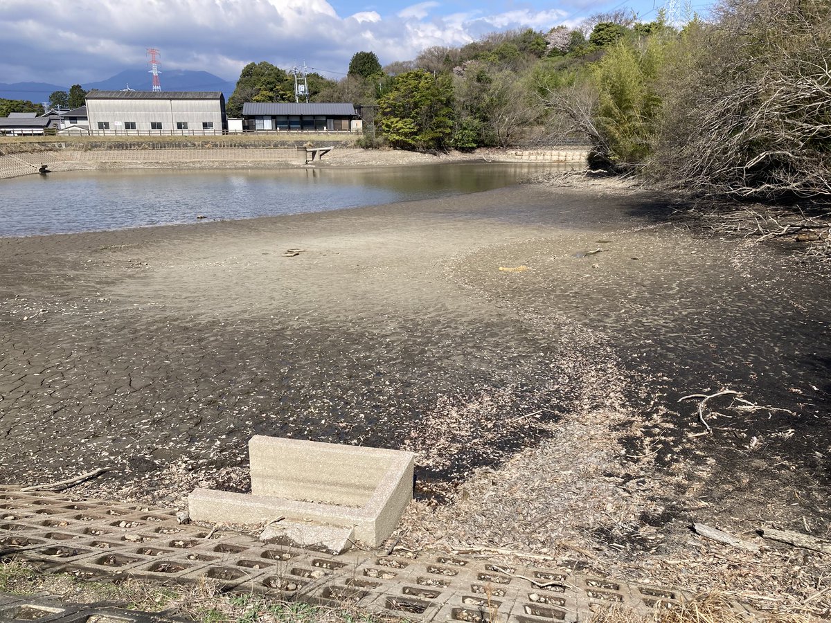 朝ん歩の風景、今日は風が強い、コース内の池は数日の雨で少しだけ潤いましたが、まだカラカラです(◞‸◟)