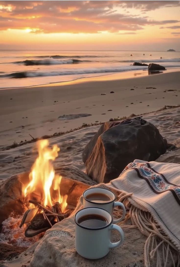 Farha Shaikh tweet media