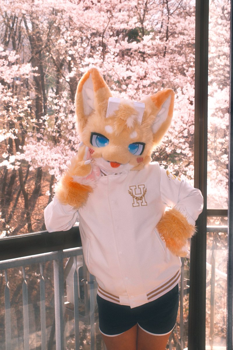 빵용🍞Breadragon(Commission Closed) 🔜 tweet media