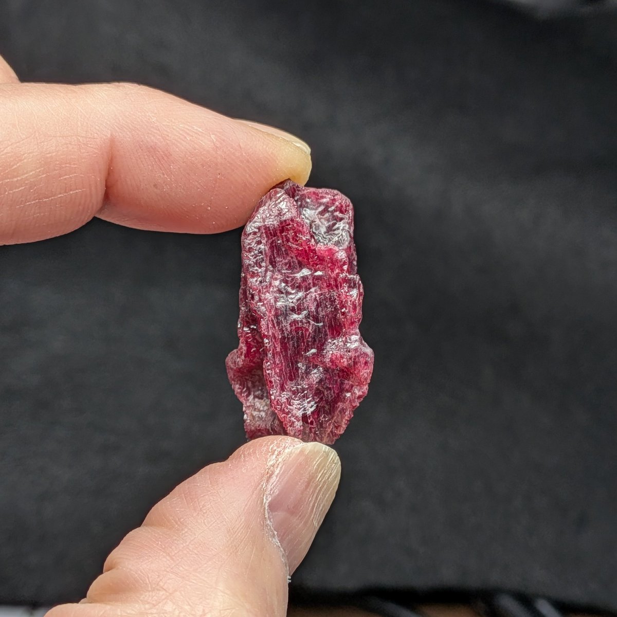 Star-38【公式】4/3 - 4/5 名古屋ミネラル ショー★吹上ホール★ tweet media