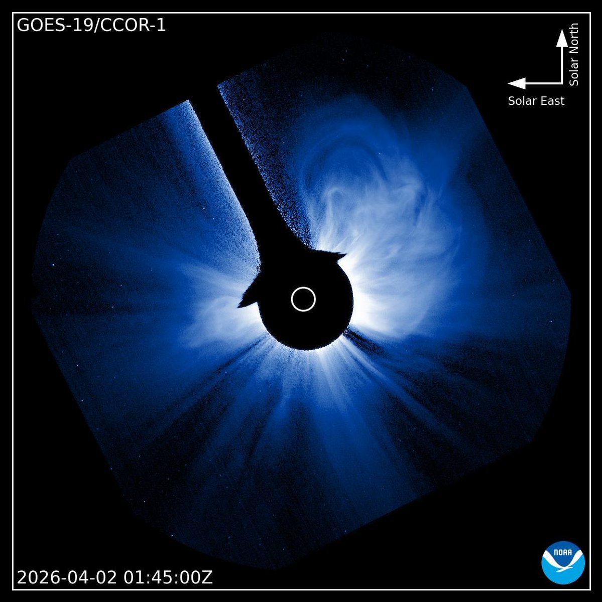 片岡龍峰 tweet media