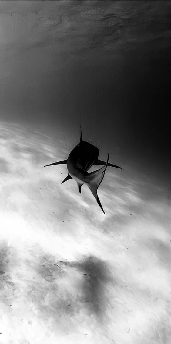 Outsider Aesthetics tweet media