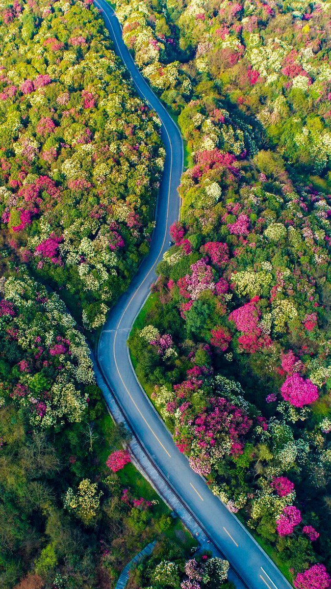 我们约会吧 tweet media