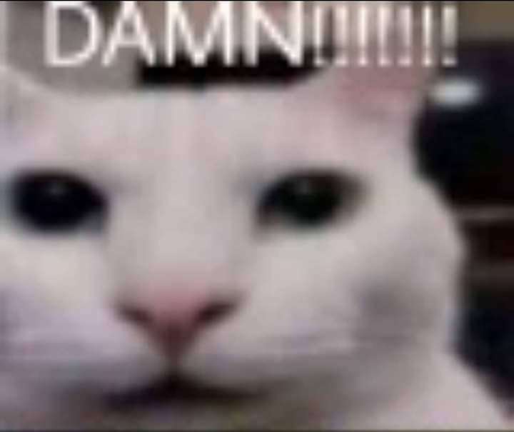 rascal (🎙️VA ) tweet media