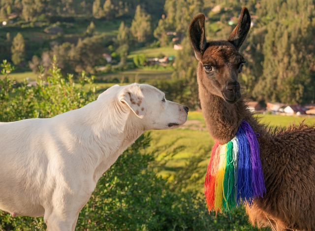 Nicole Jones tweet media