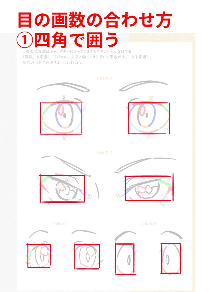 左右の目の画数を合わせる！！ ※画像は「アニメ私塾流 最速でなんでも描けるようになるキャラ作画の技術」より抜粋