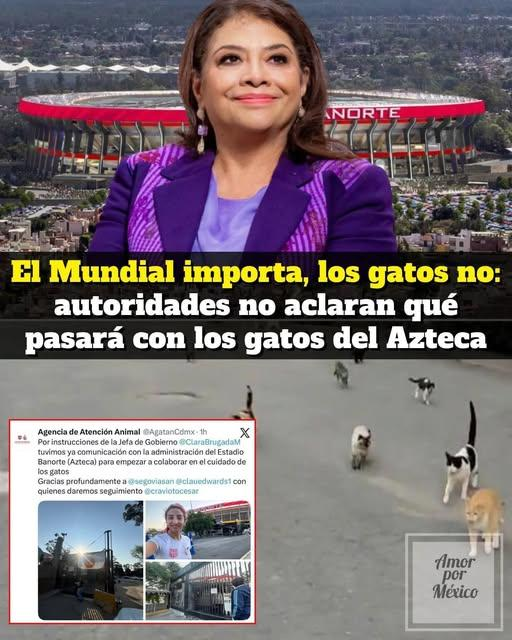 salem saberhagen tweet media