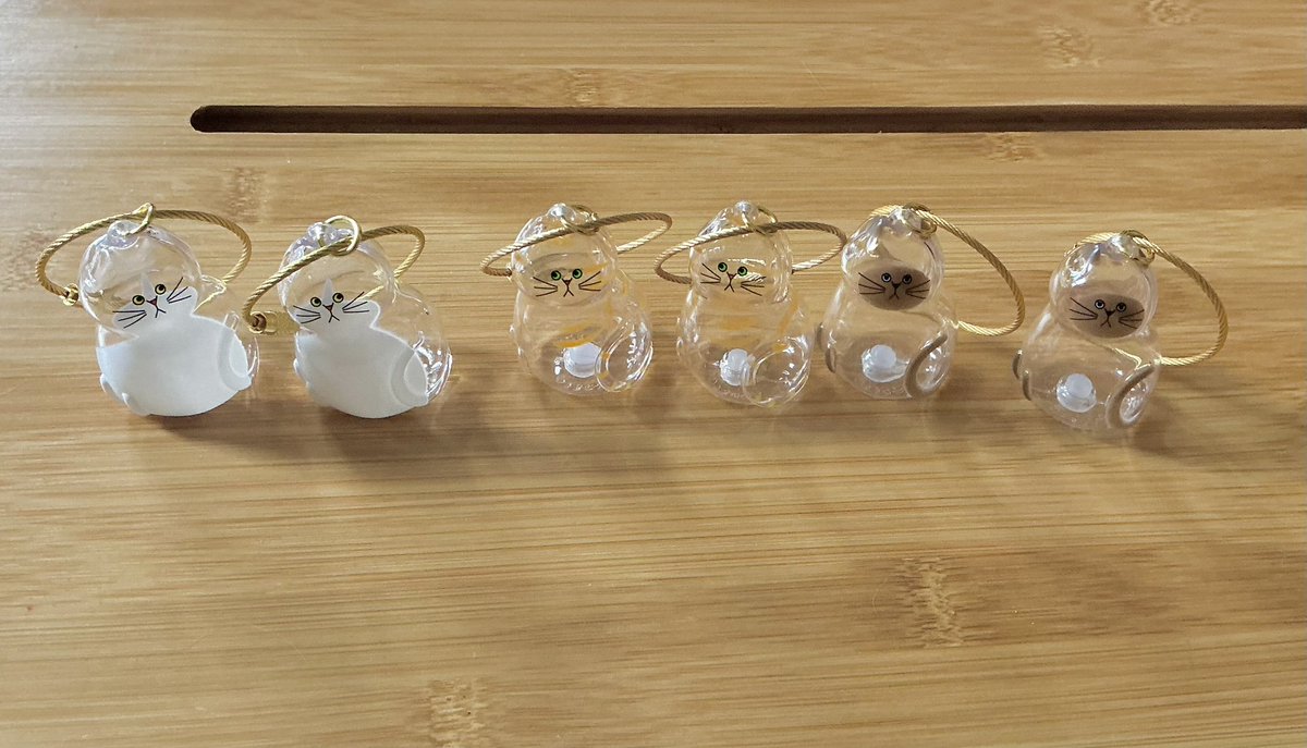 おしえて！オカルト先生 tweet media