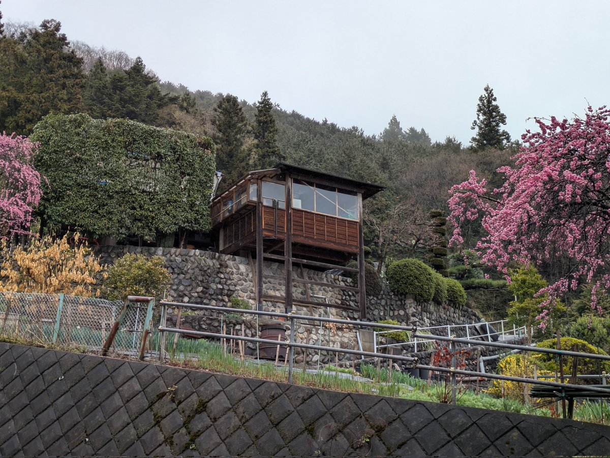 リンク tweet media