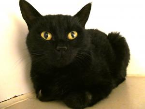 びーとも tweet media