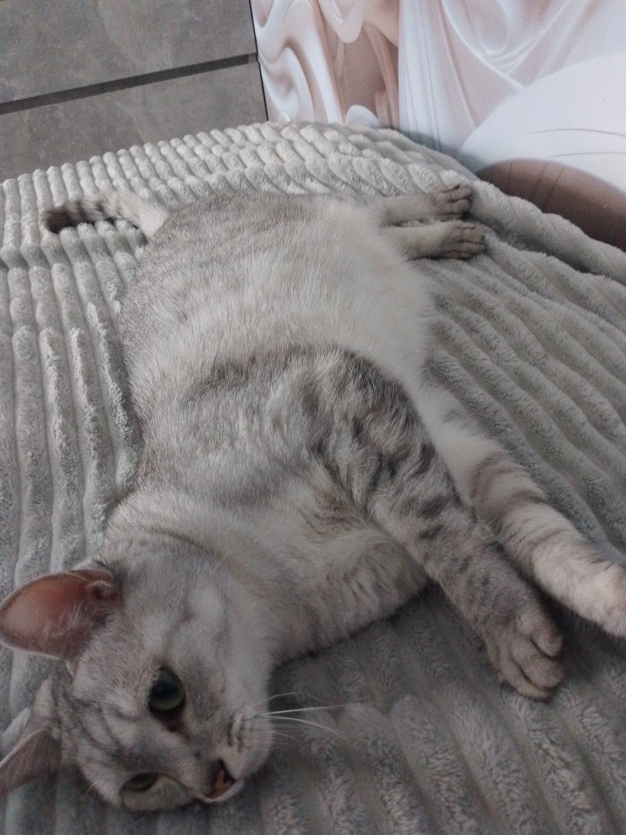 няшная жидовочка 🇮🇱 tweet media