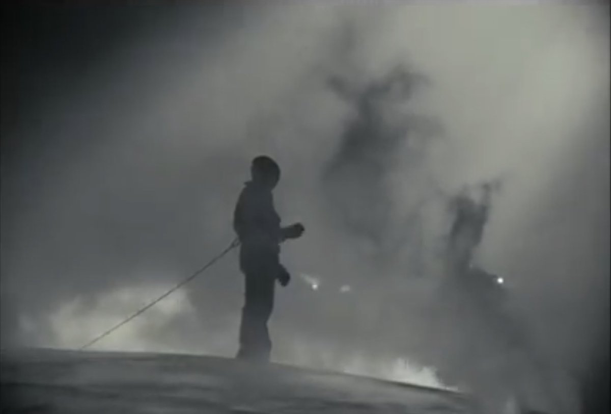 アースコット tweet media