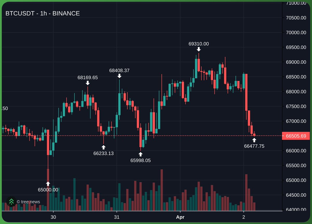 Castillo Trading tweet media
