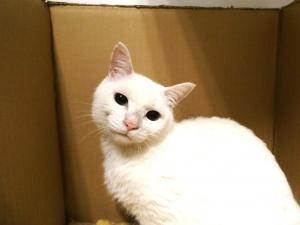 びーとも tweet media