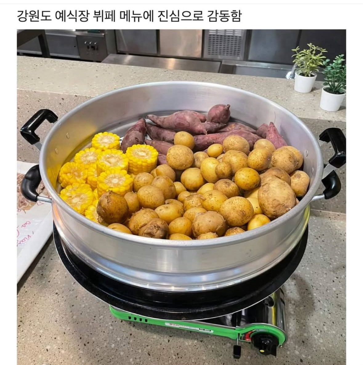 북크북크 tweet media