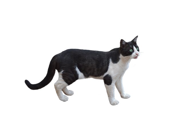 Jordan Jackson tweet media