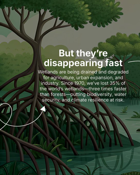 CIFOR-ICRAF tweet media