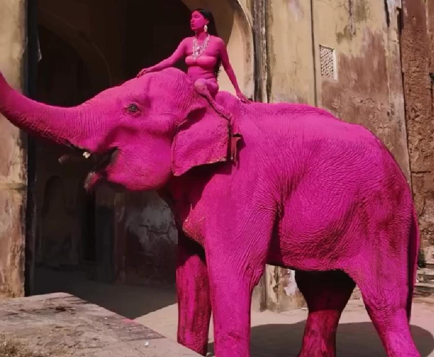 Пан Пачковский tweet media