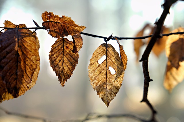 Michael Martinez tweet media