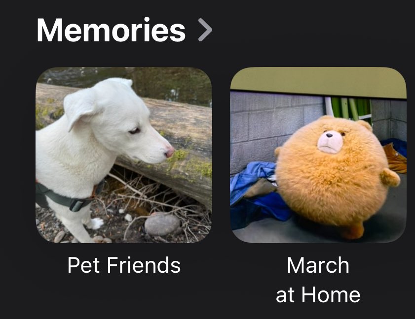 siobhan 🌻 tweet media