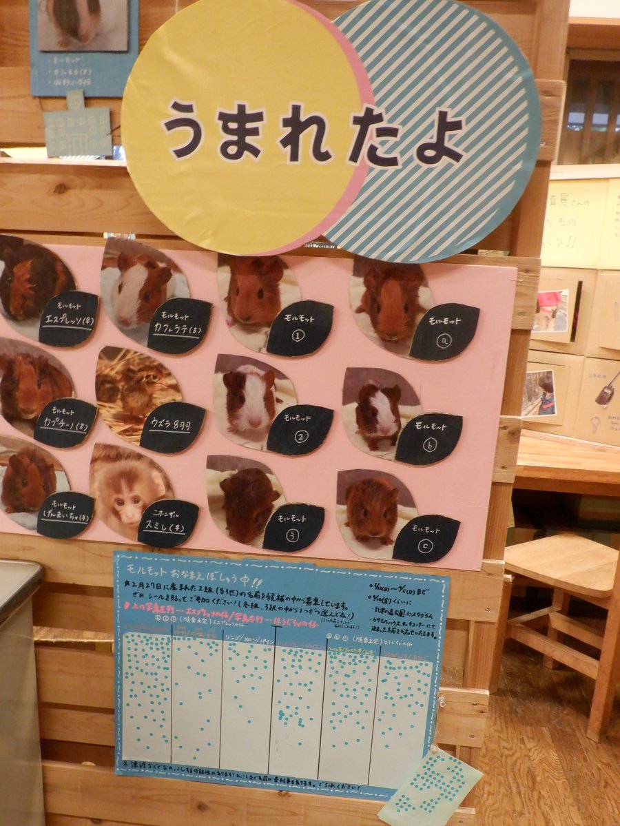 到津の森公園 tweet media