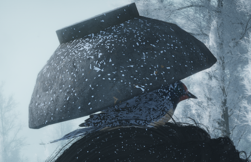 젠틀갈매기 tweet media