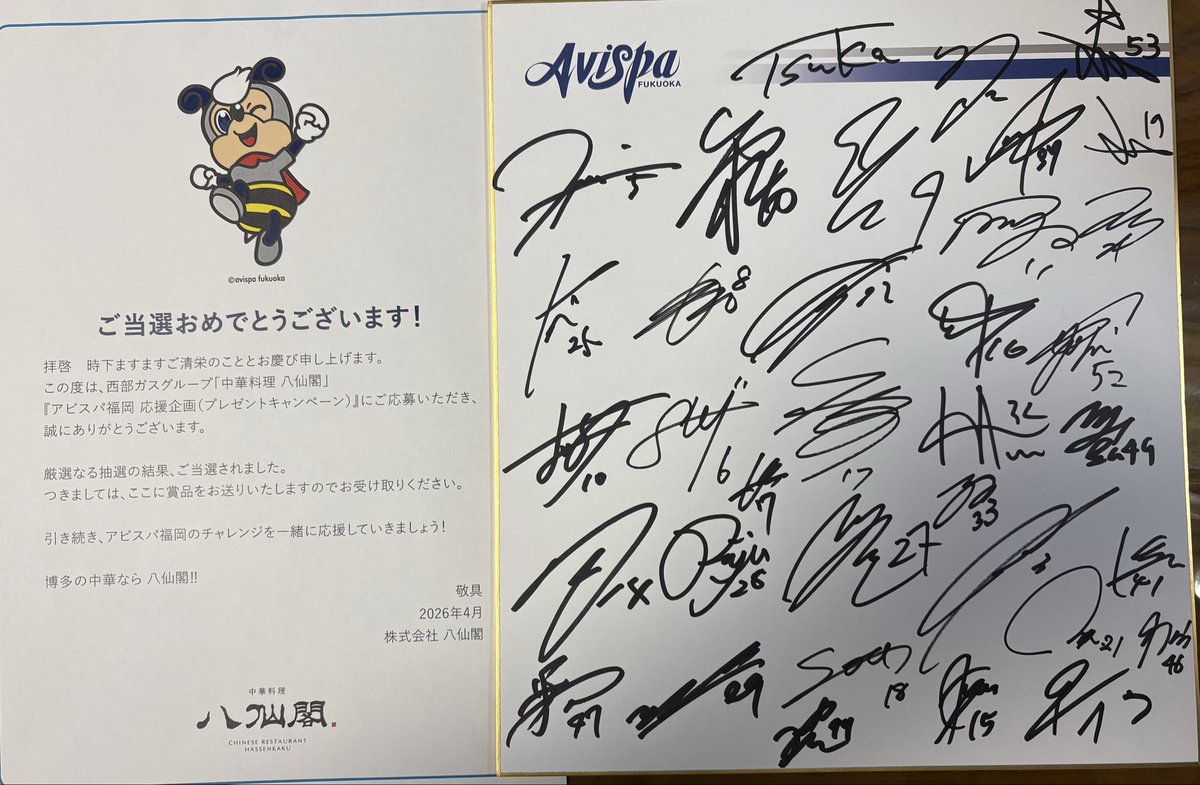 12⭐️ tweet media