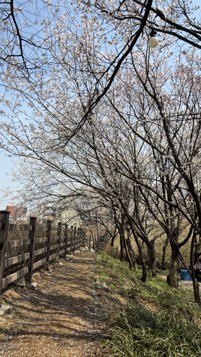 kiire🛰️ tweet media