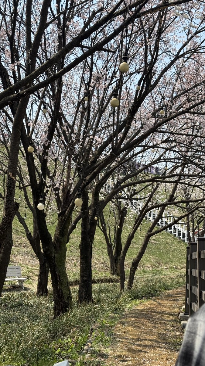 kiire🛰️ tweet media