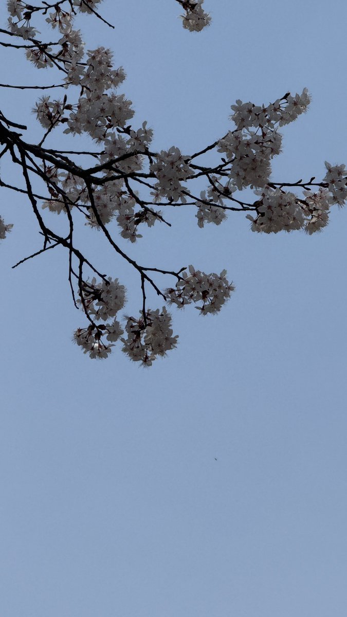 kiire🛰️ tweet media