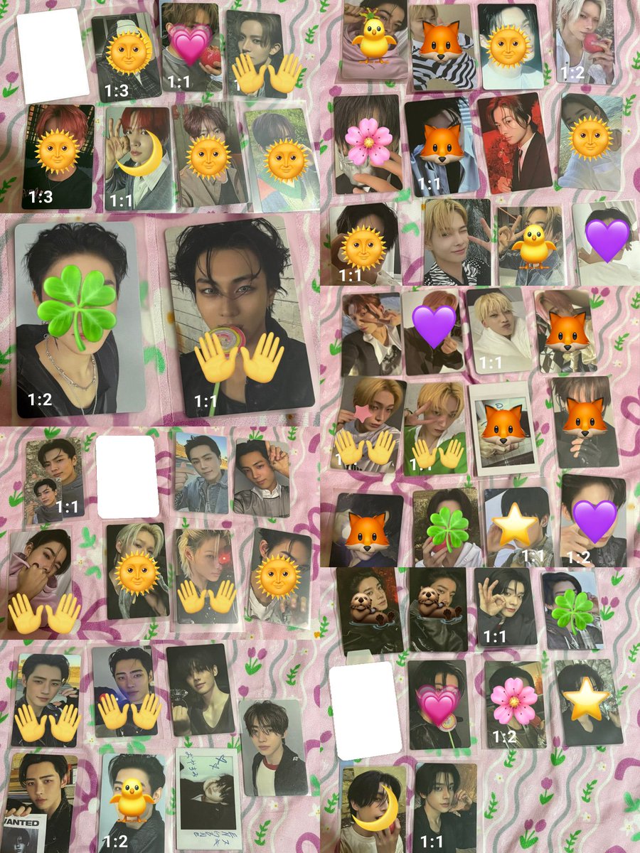 sei | ENHYPEN IS 7 tweet media