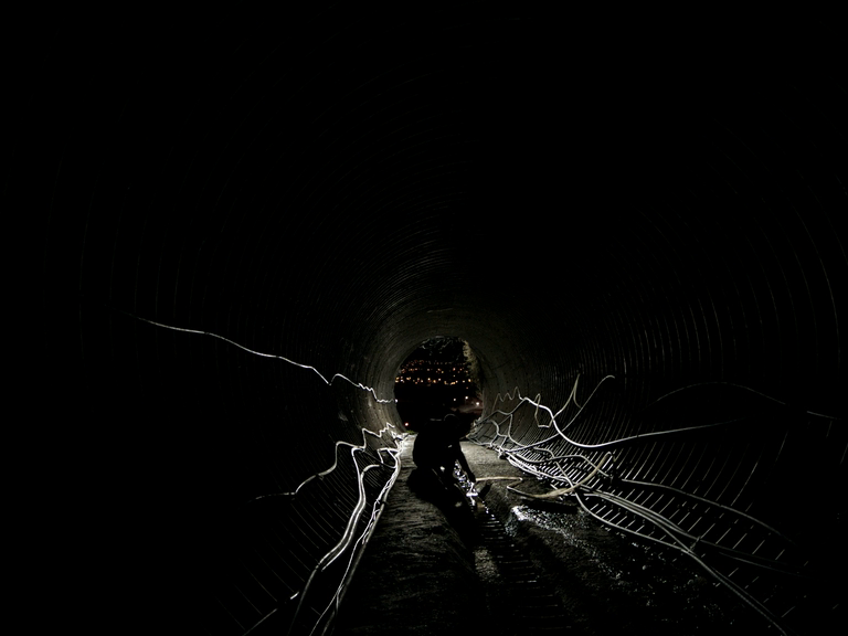 Flikethedog23's tweet image. Vitalina Varela (2019) d. Pedro Costa