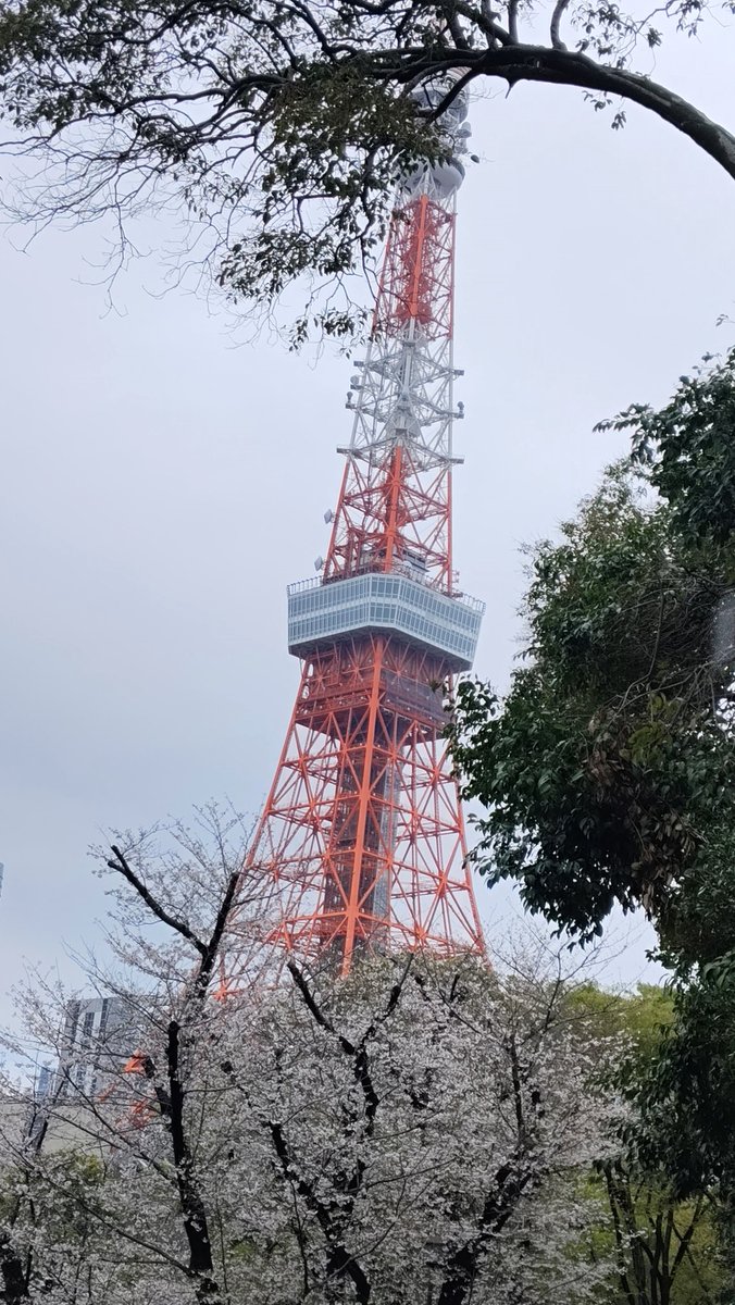 Doctor H (Orcbolg) tweet media