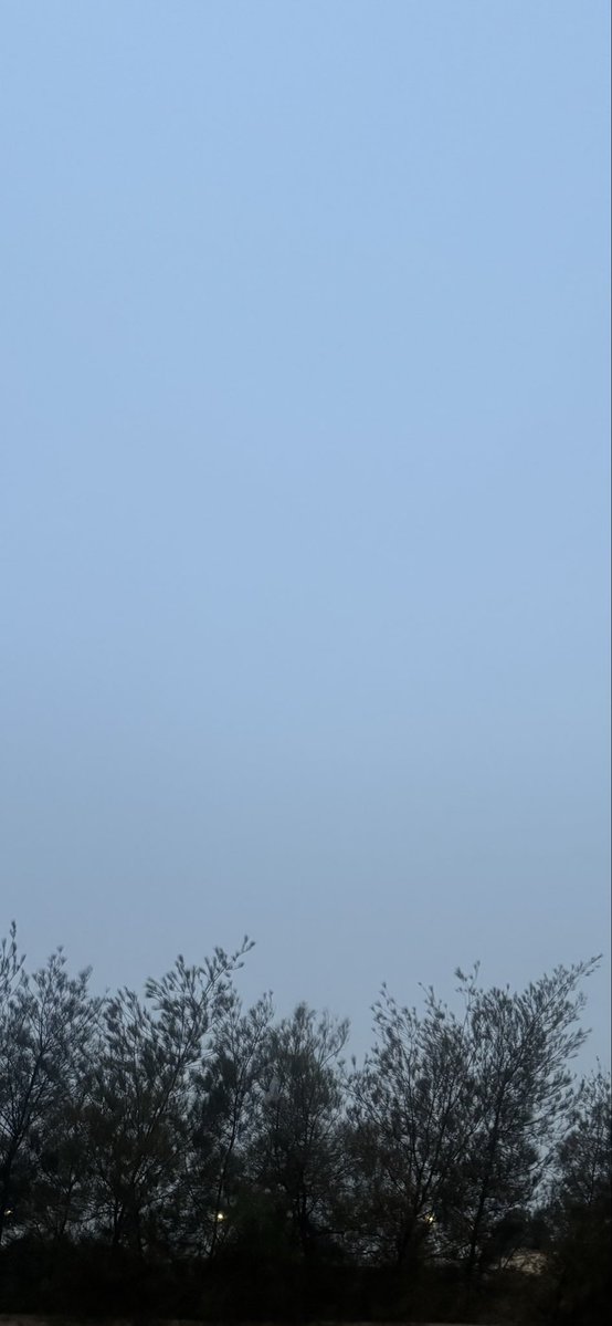 ‏​​​​​‏ ◔̯.◔ tweet media