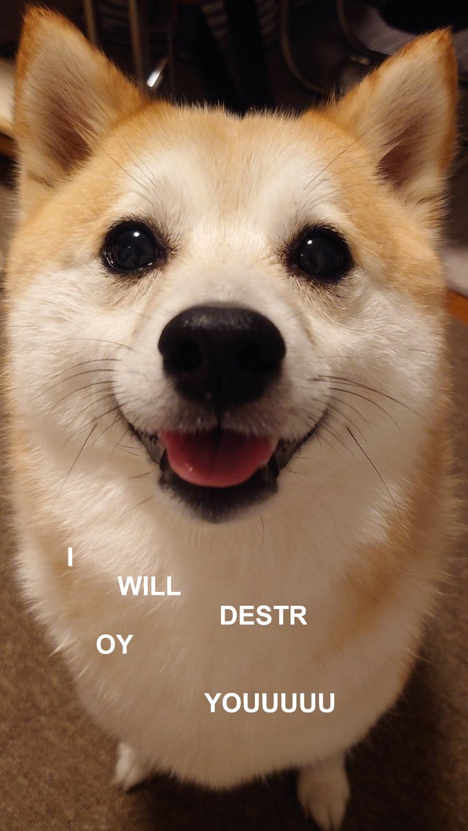 Corrupted Slugman tweet media