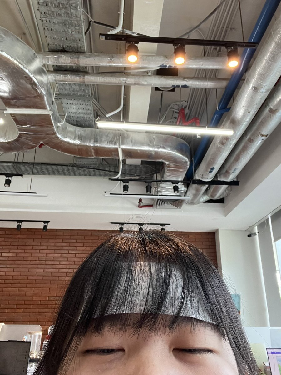 panini tuna tweet media