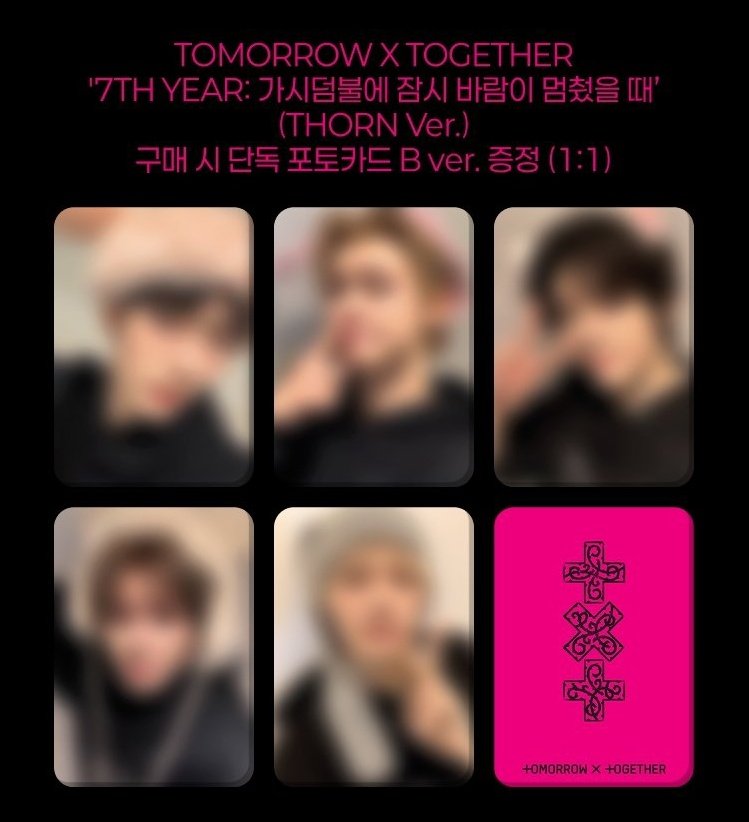 🌸さくら🌸固定プロフ欄必読※ tweet media