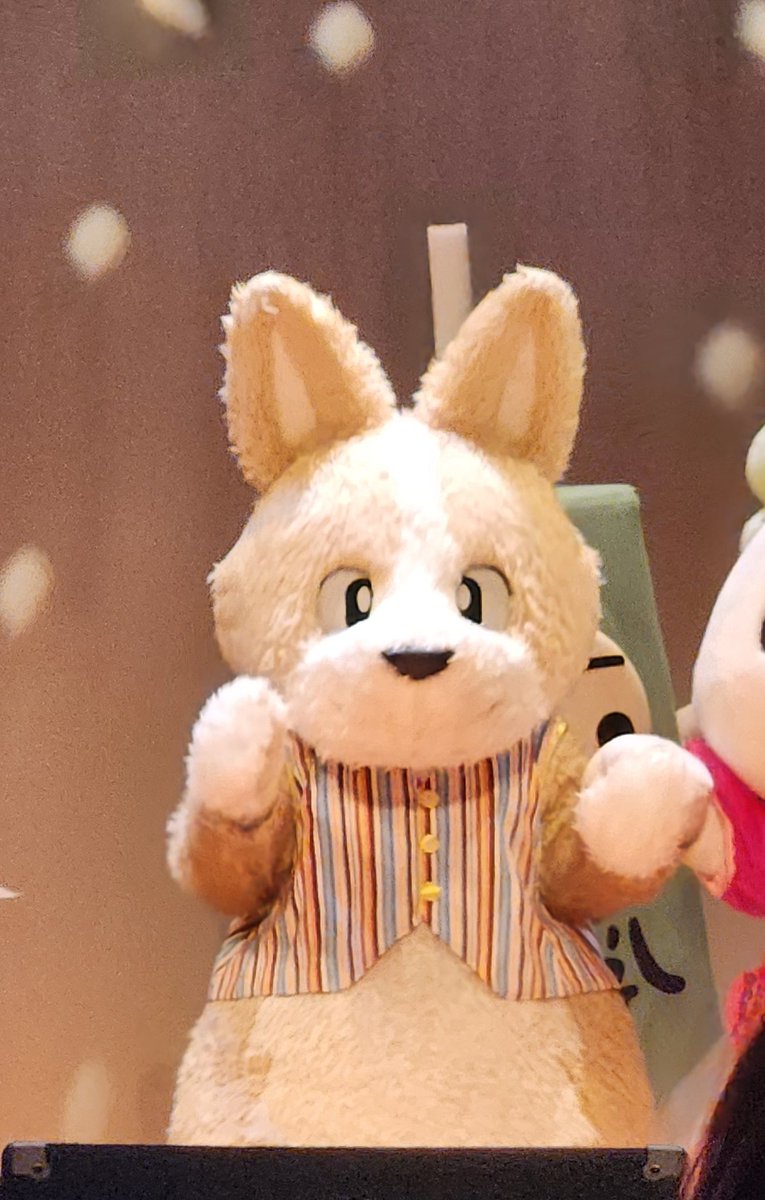 モンたん（M★Tたん＆モン吉） tweet media