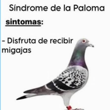 InsoGames tweet media