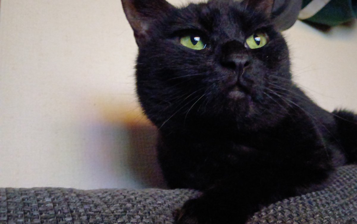 ぽんち。'26 tweet media