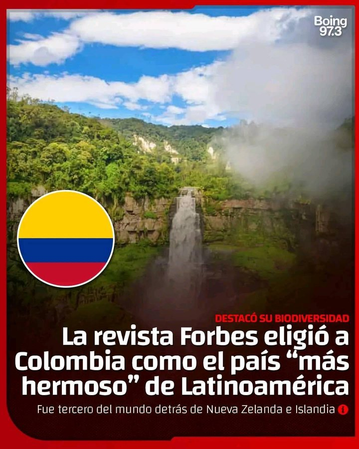 Pato Bonato tweet media