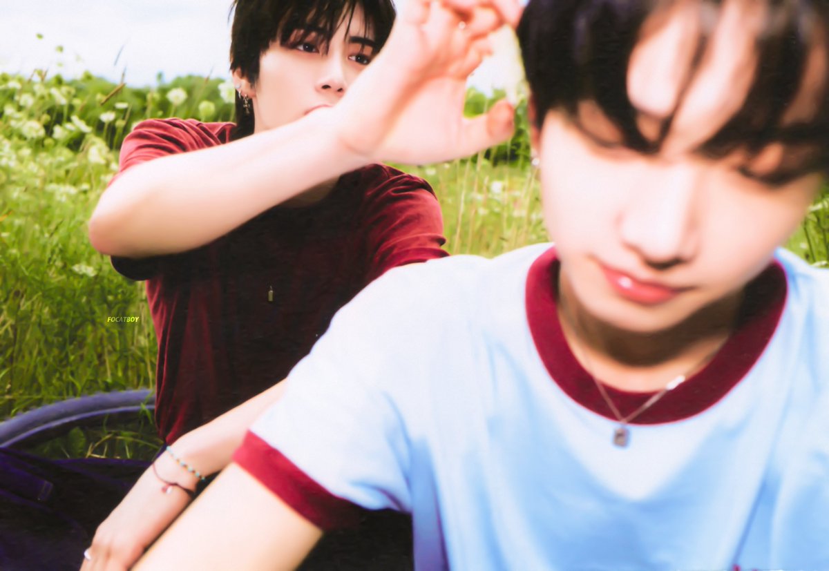 로피 tweet media