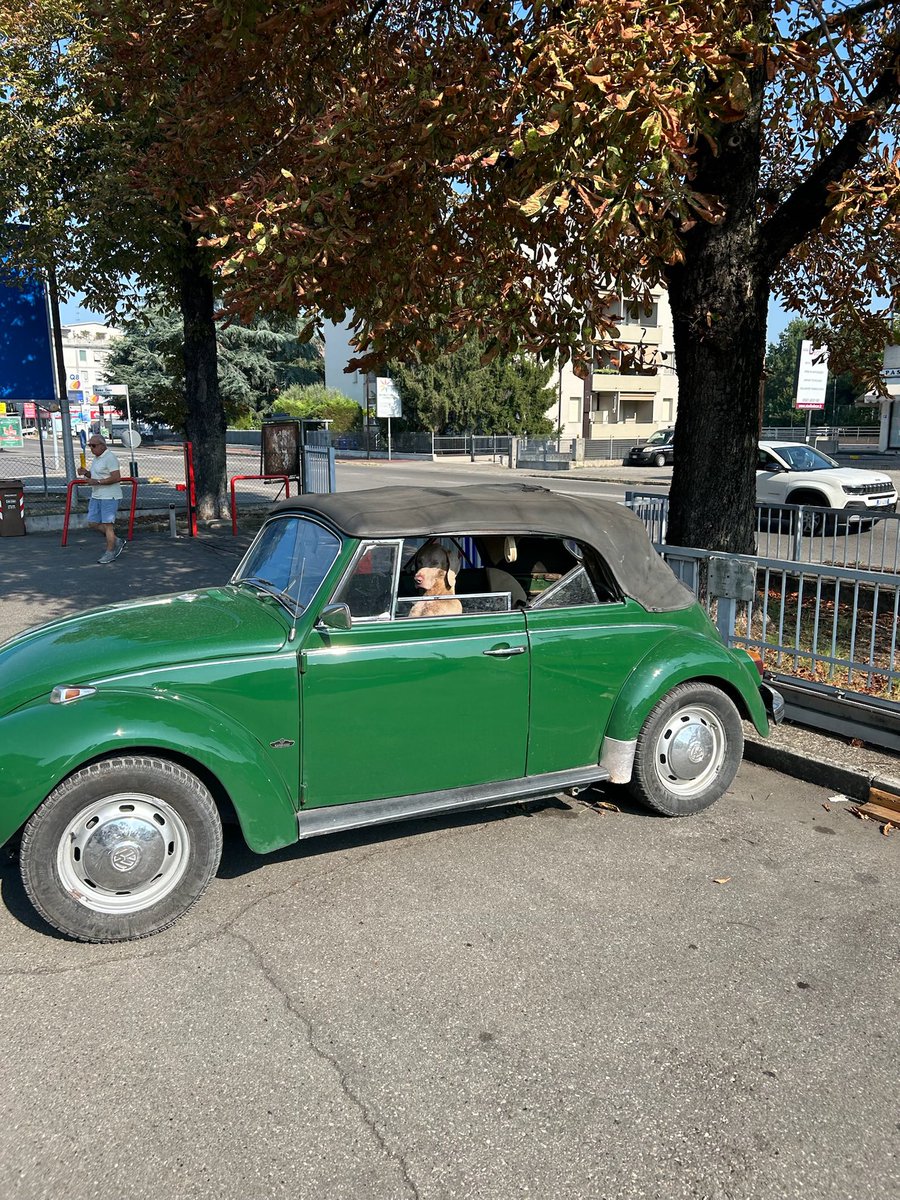 RiverboatRog tweet media