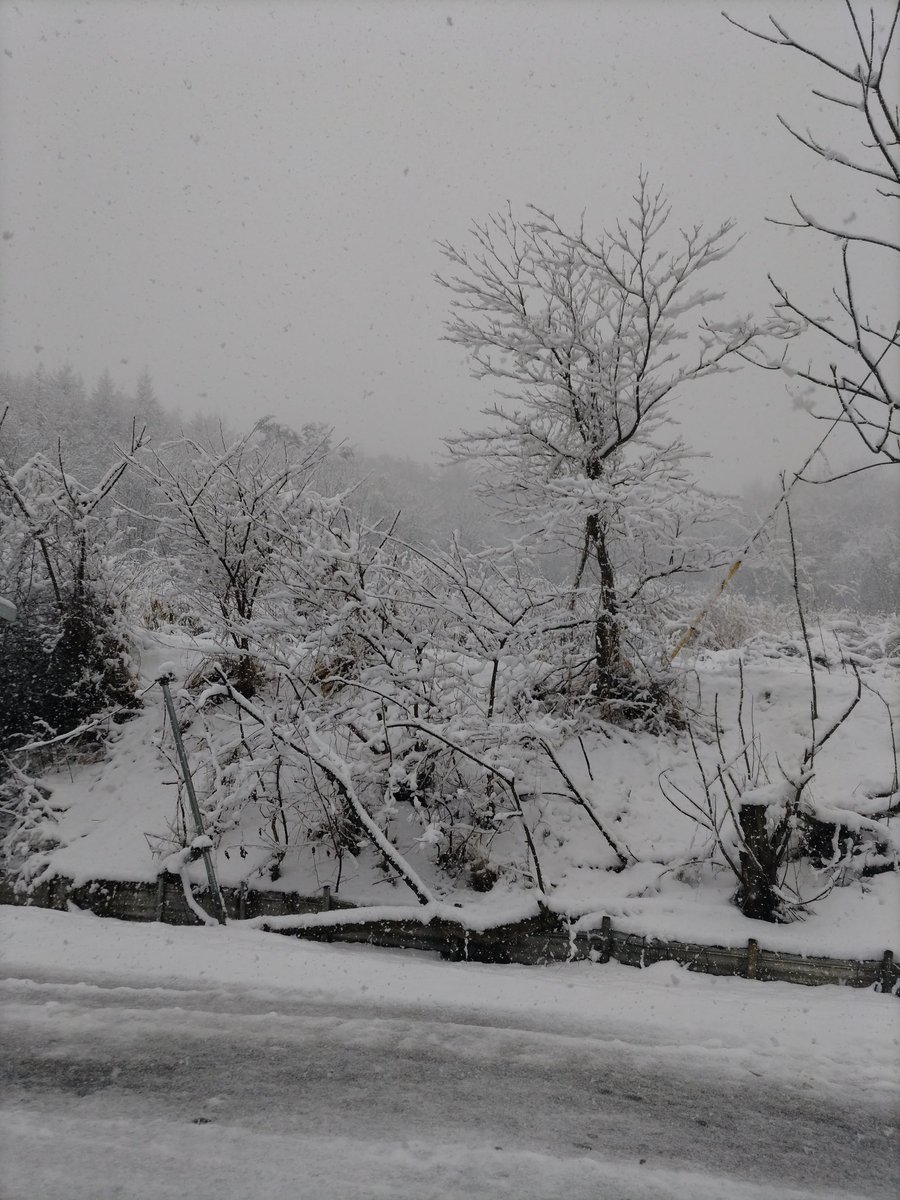 reirei_dm_'s tweet photo. #きすいのーと
コメントで言ってた本日の雪にゃ
やっぱり東北は4月でも普通に降るにゃ https://t.co/DQFJ8VQRU3